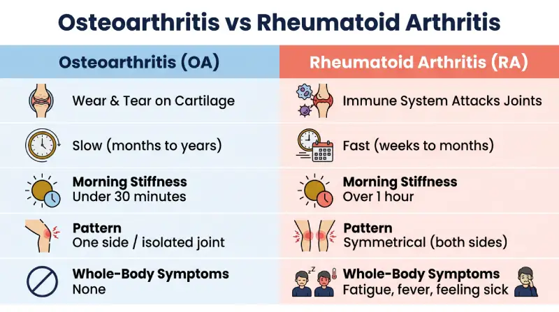 Osteoarthritis vs Rheumatoid Arthritis Chart